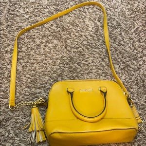 Mustard purse